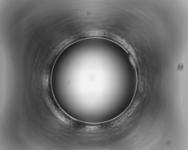 X0000099420057200805161056