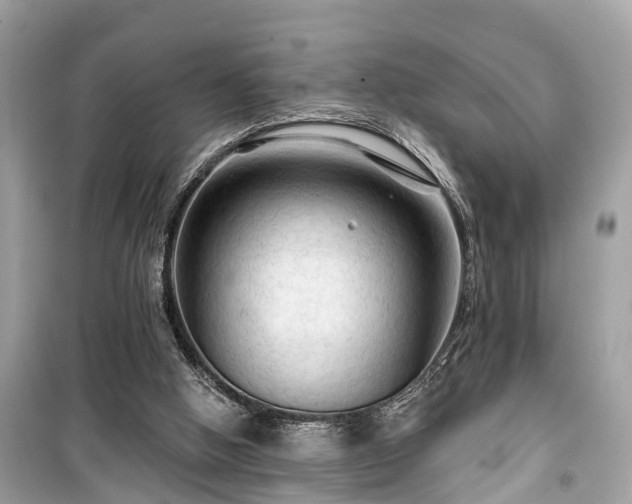 X0000099420058200805161056
