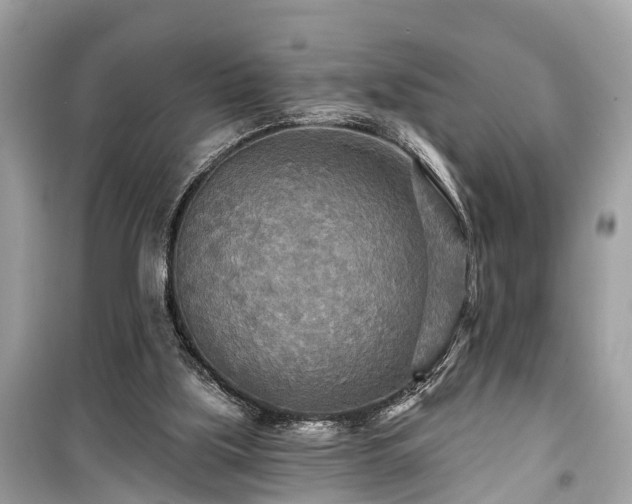 X0000099420059200805161056