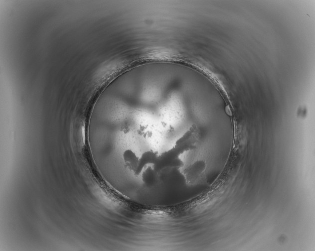 X0000099420061200805161056