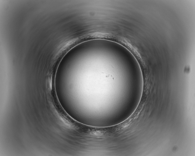 X0000099420062200805161056