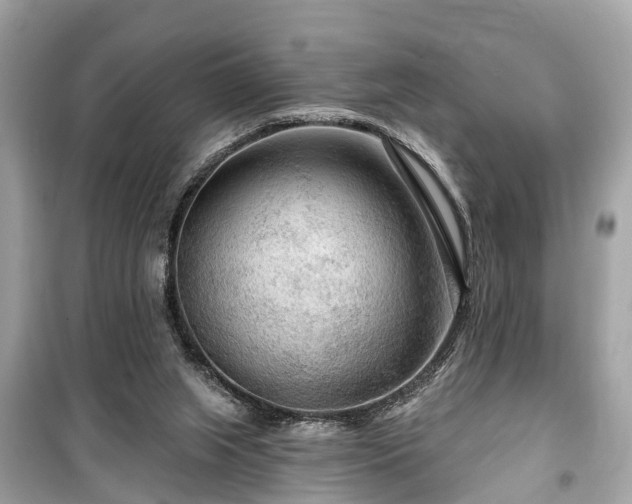 X0000099420063200805161056