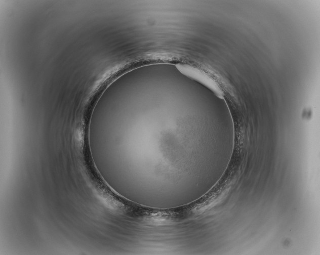 X0000099420064200805161056
