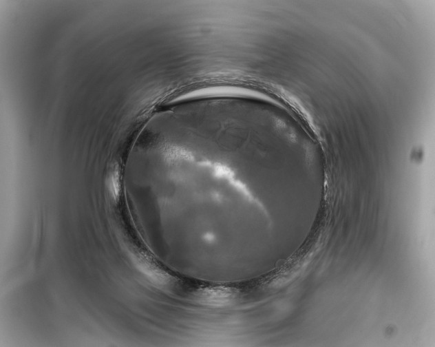 X0000099420069200805161056