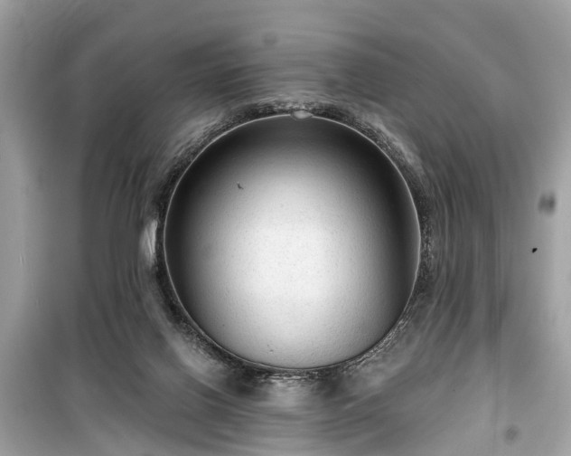 X0000099420070200805161056