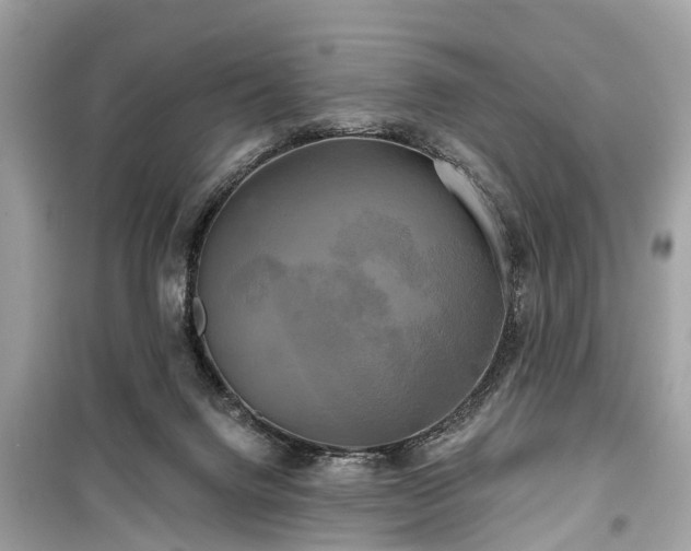 X0000099420072200805161056