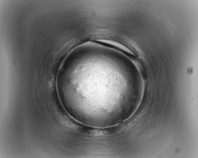 X0000099420073200805161056