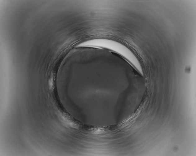 X0000099420074200805161056