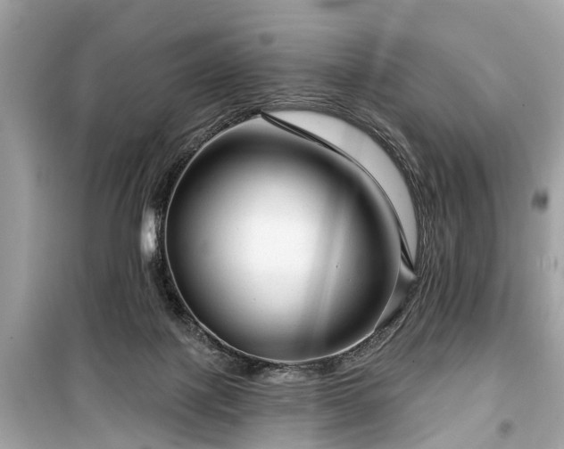 X0000099420075200805161056