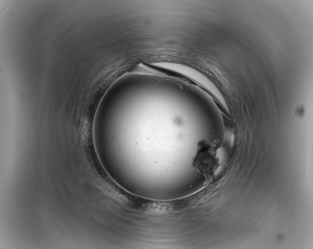 X0000099420077200805161056