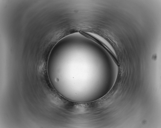 X0000099420079200805161056