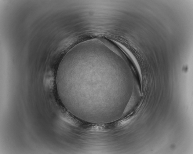 X0000099420080200805161056