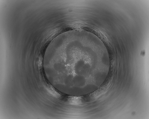 X0000099420081200805161056