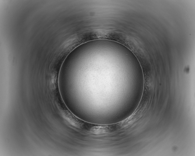 X0000099420082200805161056