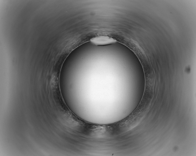 X0000099420083200805161056