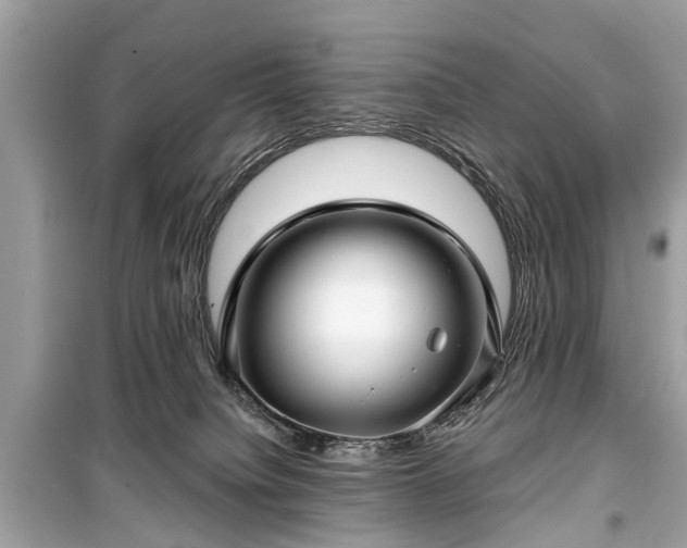X0000099420084200805161056