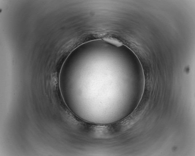 X0000099420085200805161056
