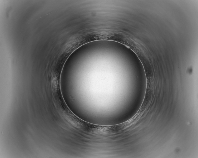 X0000099420086200805161056