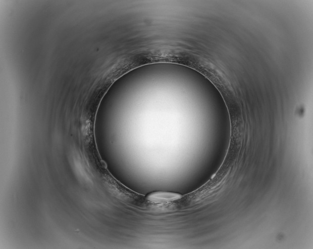 X0000099420087200805161056
