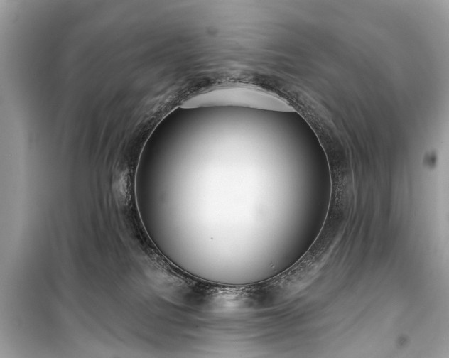 X0000099420088200805161056