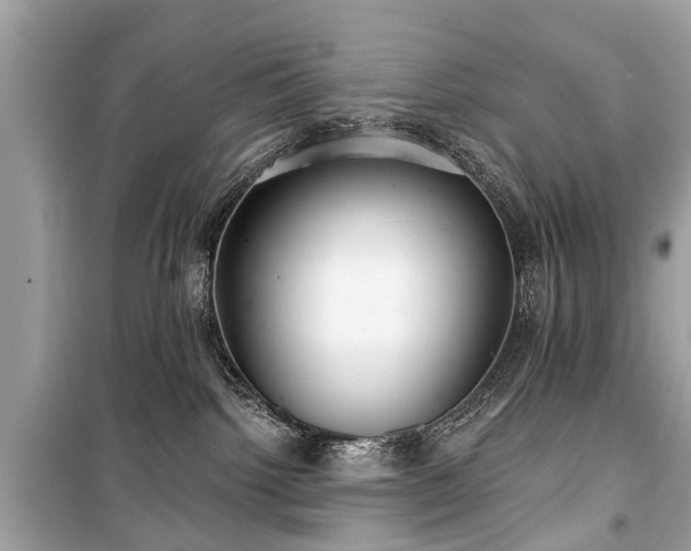 X0000099420092200805161056