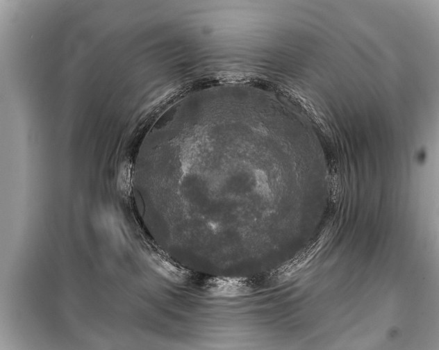 X0000099420093200805161056