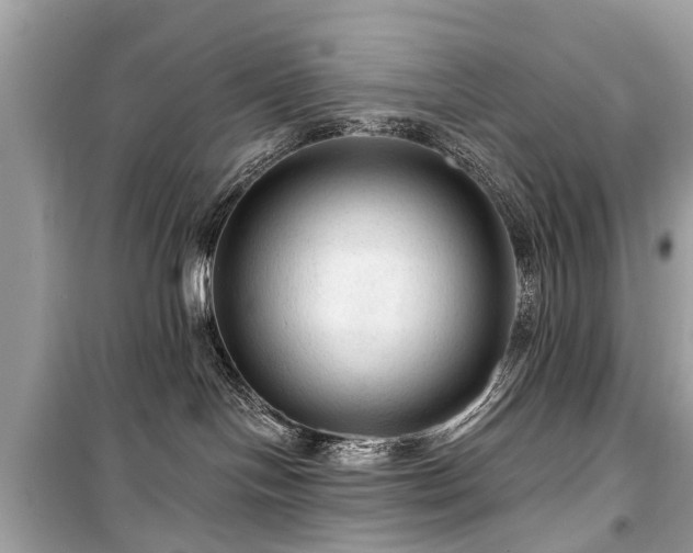 X0000099420094200805161056