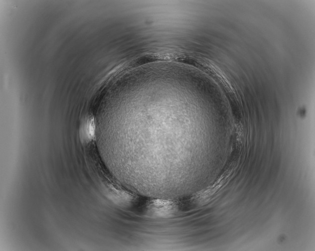 X0000099420095200805161056