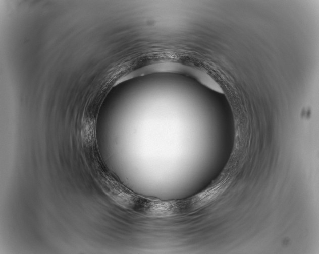 X0000099420096200805161056