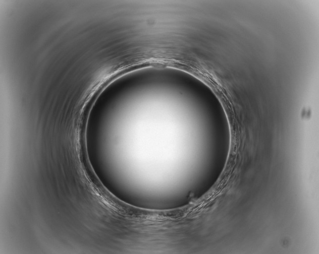 X0000099420098200805161055