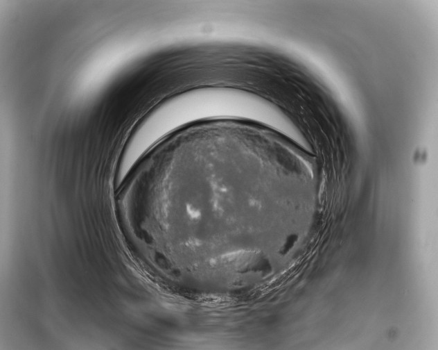 X0000099420099200805161055
