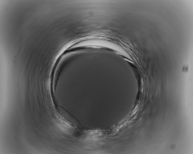 X0000099420100200805161055