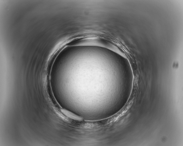 X0000099420101200805161055