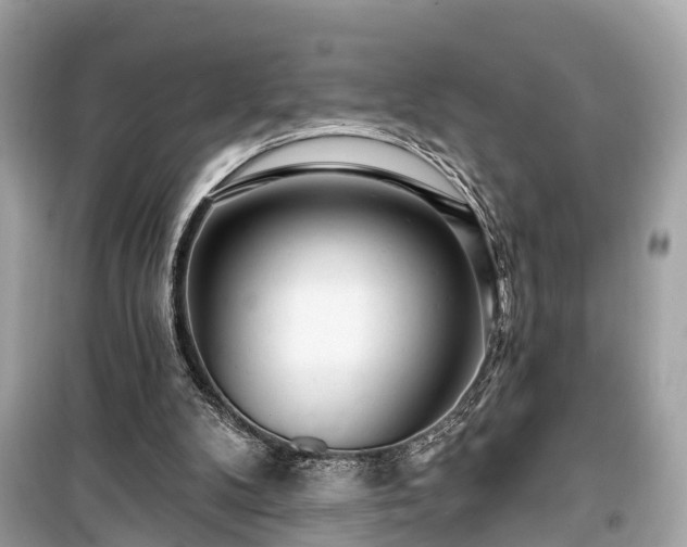 X0000099420104200805161055