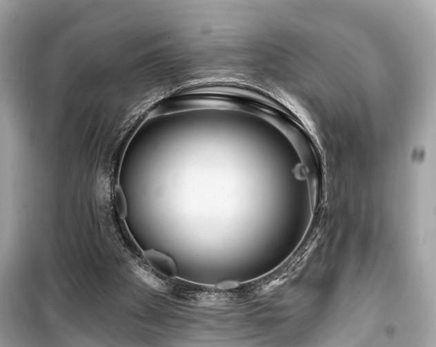 X0000099420105200805161055