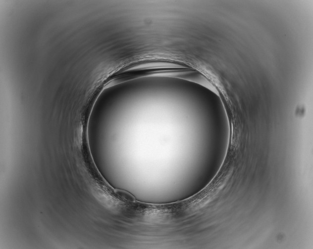 X0000099420109200805161055