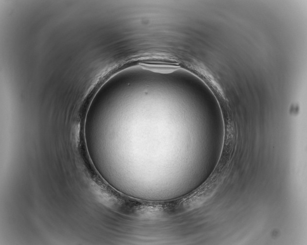 X0000099420110200805161055