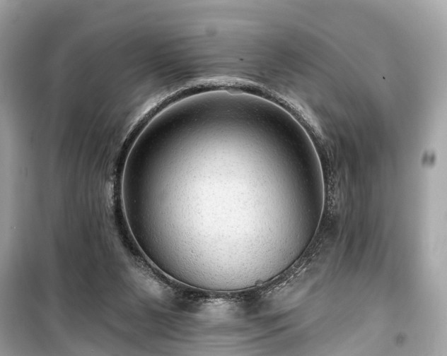 X0000099420111200805161055