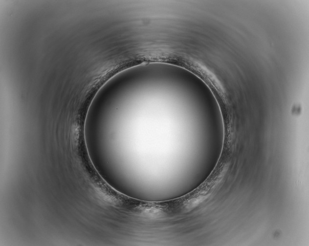 X0000099420113200805161055
