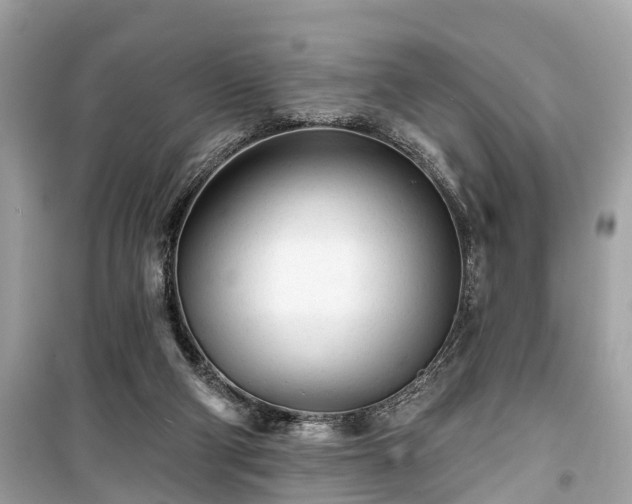 X0000099420114200805161055