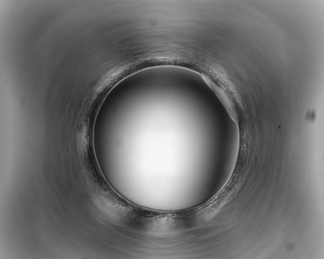 X0000099420116200805161055