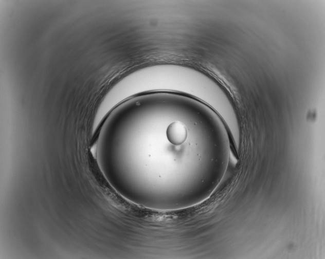 X0000099420117200805161055