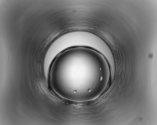 X0000099420120200805161055