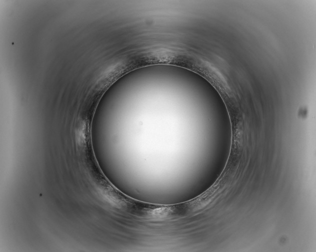 X0000099420122200805161055