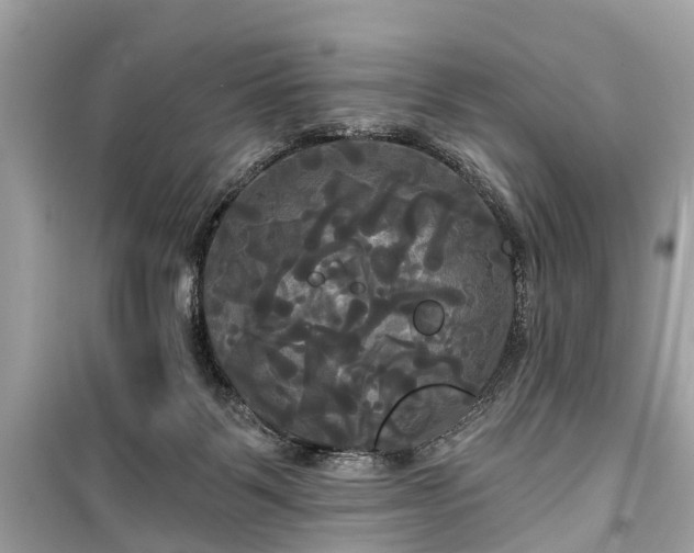 X0000099420123200805161055