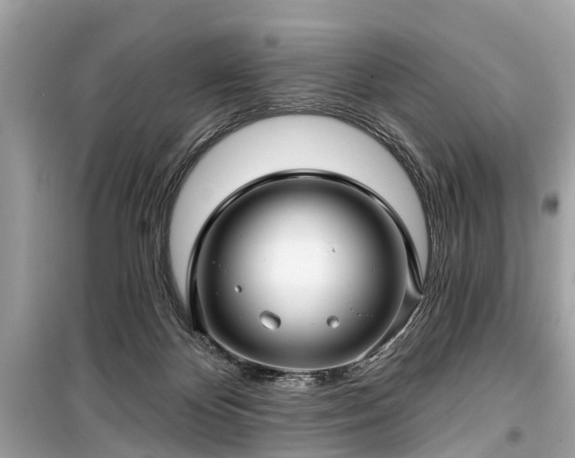 X0000099420124200805161055