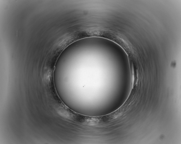 X0000099420125200805161055