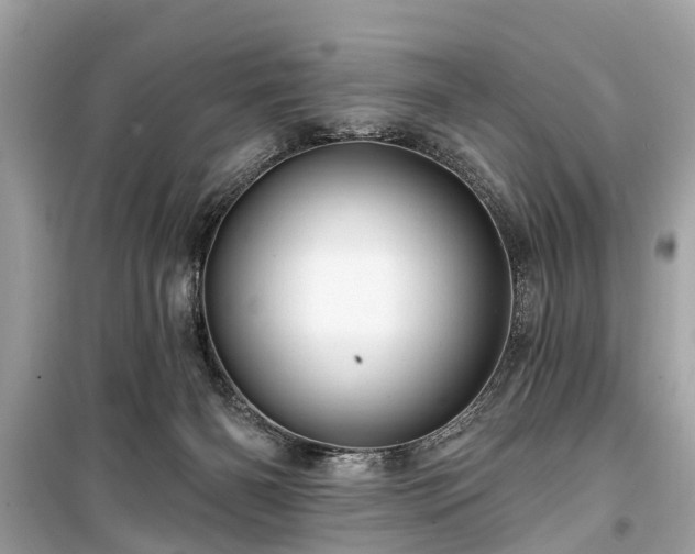 X0000099420126200805161055