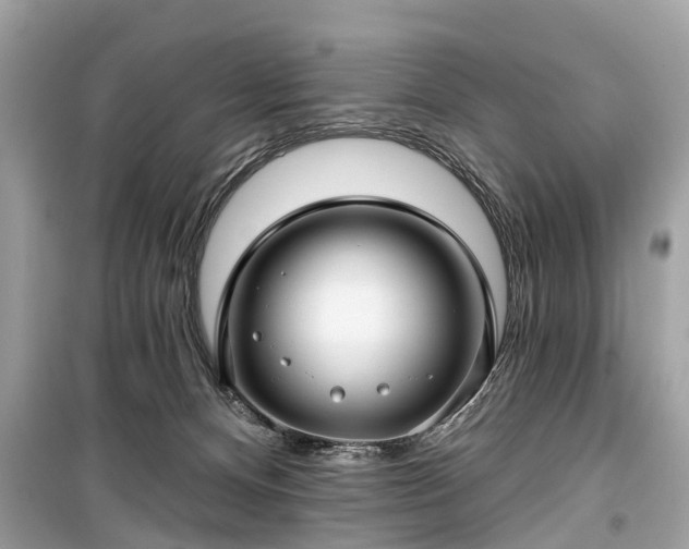 X0000099420128200805161055