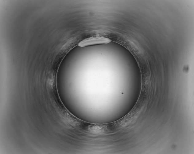 X0000099420129200805161055